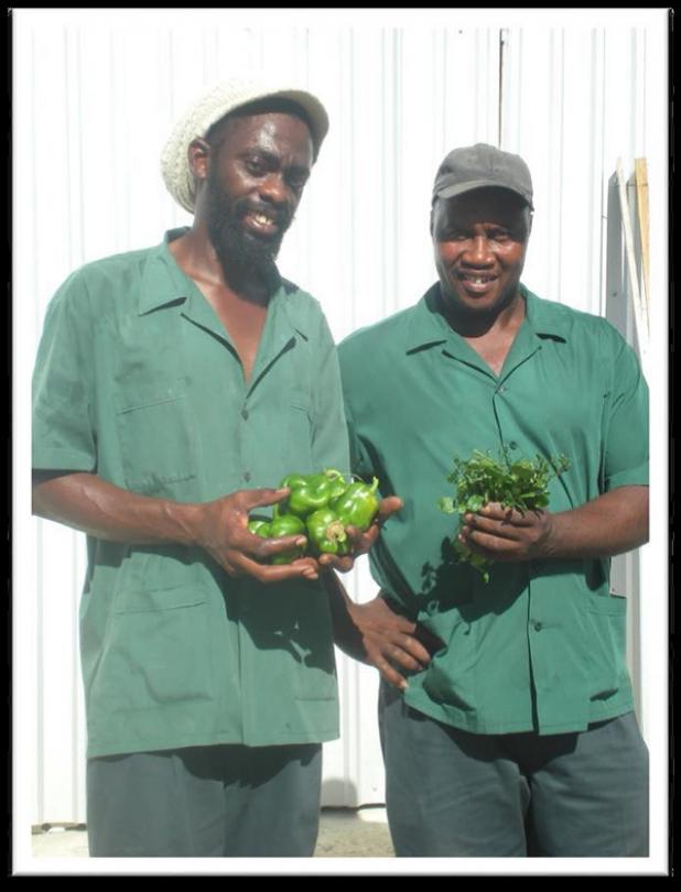 Green Team members (L-R) Hayden Holder & Basil Ellis, with some of the crops reaped from the kitchen garden planted at the resort.