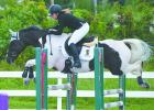 Paige Tryhane on-board Daisy in one of their two clear rounds this past Saturday.