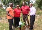 Minister of Culture, Sports and Youth, Stephen Lashley (right), stands with Charles Miller (left) and Waple Lewis (second from left), the two community activists from St. George who assisted in the tree planting exercise. Also, sharing the moment is Executive Director of The Productivity Council, John Pilgrim.